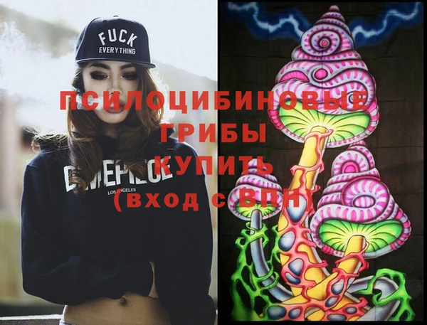 крисы Алексин